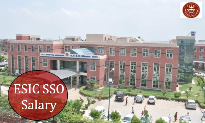 ESIC SSO Salary Apply