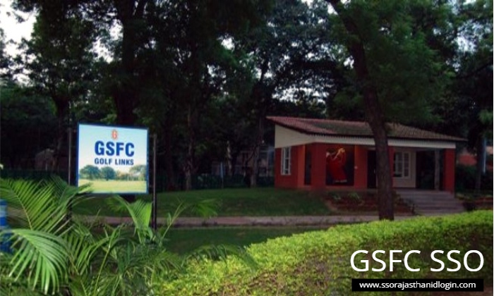 Gsfc SSO Work Details