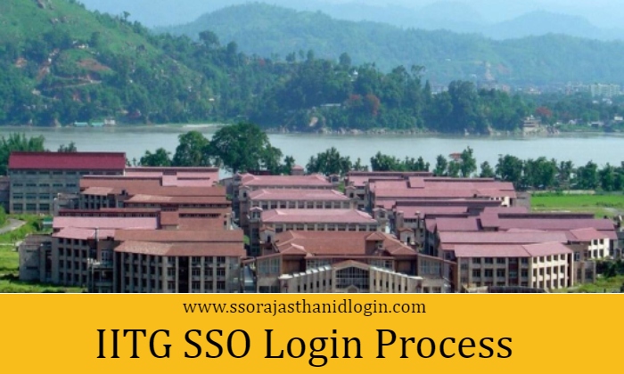 IITG SSO LOGIN Work Details