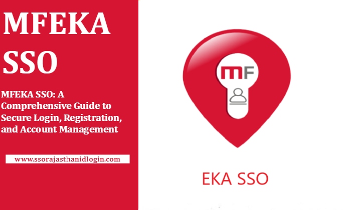 Mfeka SSO Information