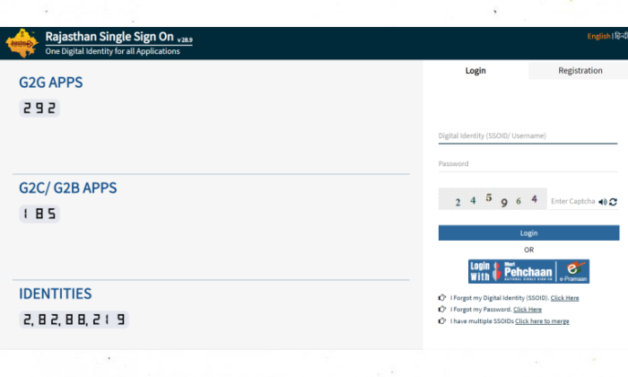 The Process of SSO ID Login