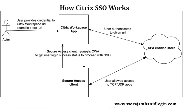 citrix SSO Work Details