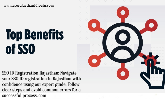 SSO ID Registration Rajasthan Benefits