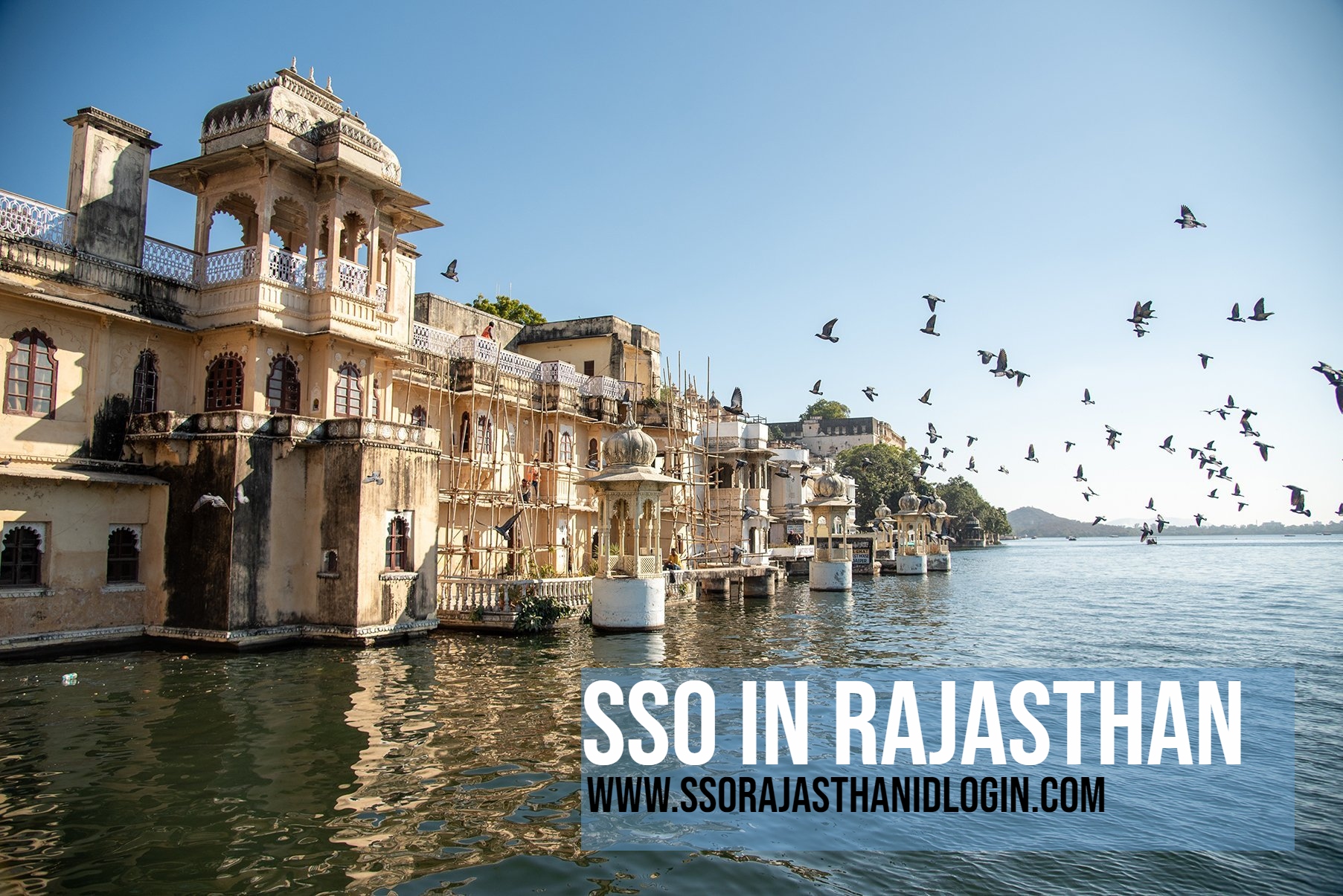 Sso In Rajasthan Details