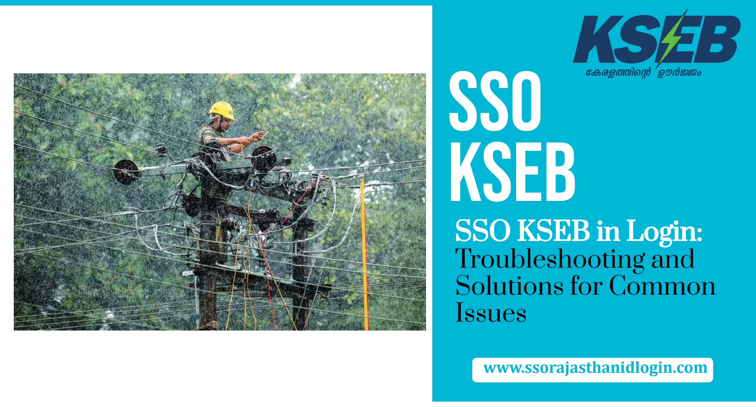 SSO KSEB in Login Account