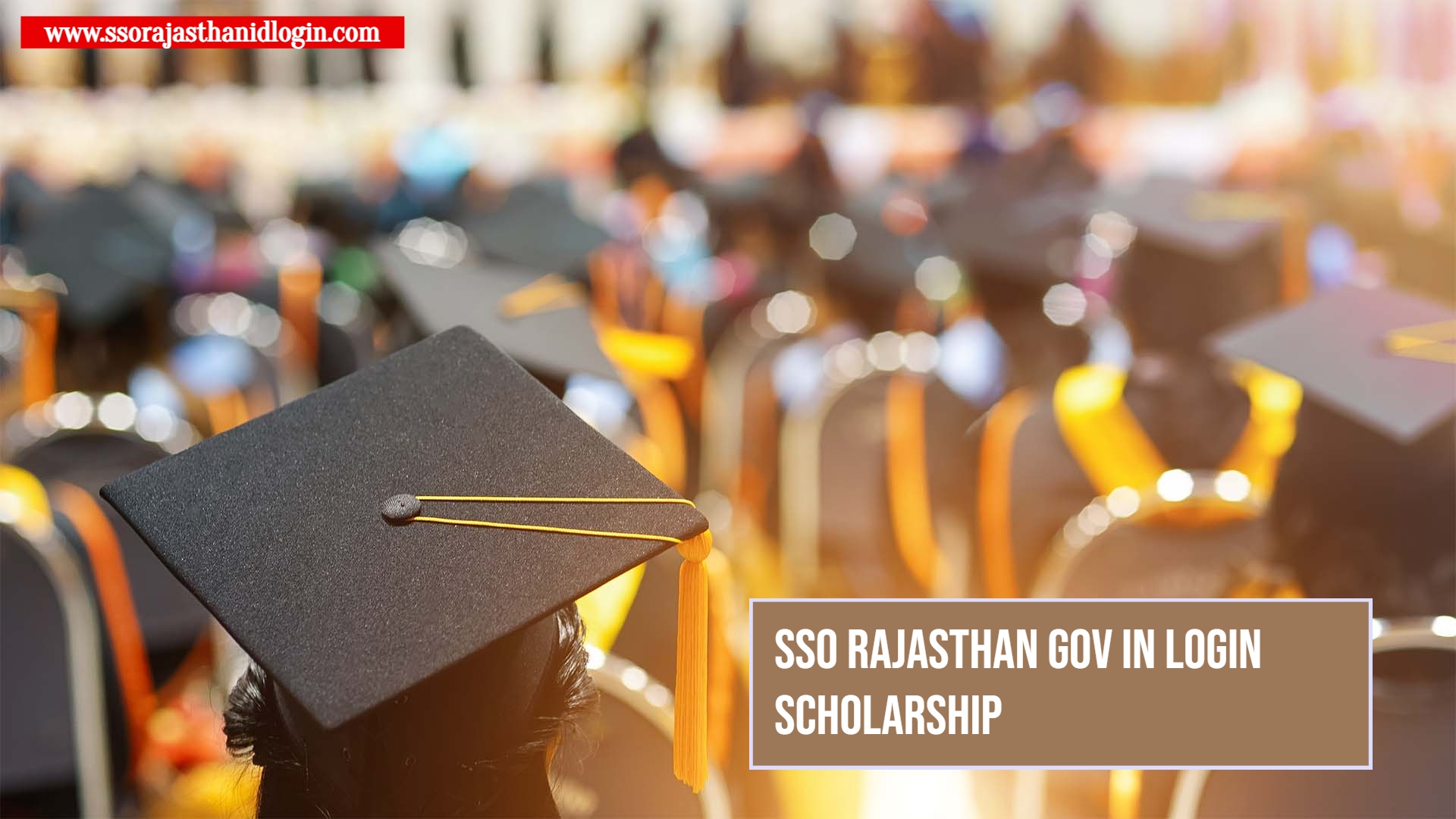 Sso Rajasthan Gov In Login Scholarship Details