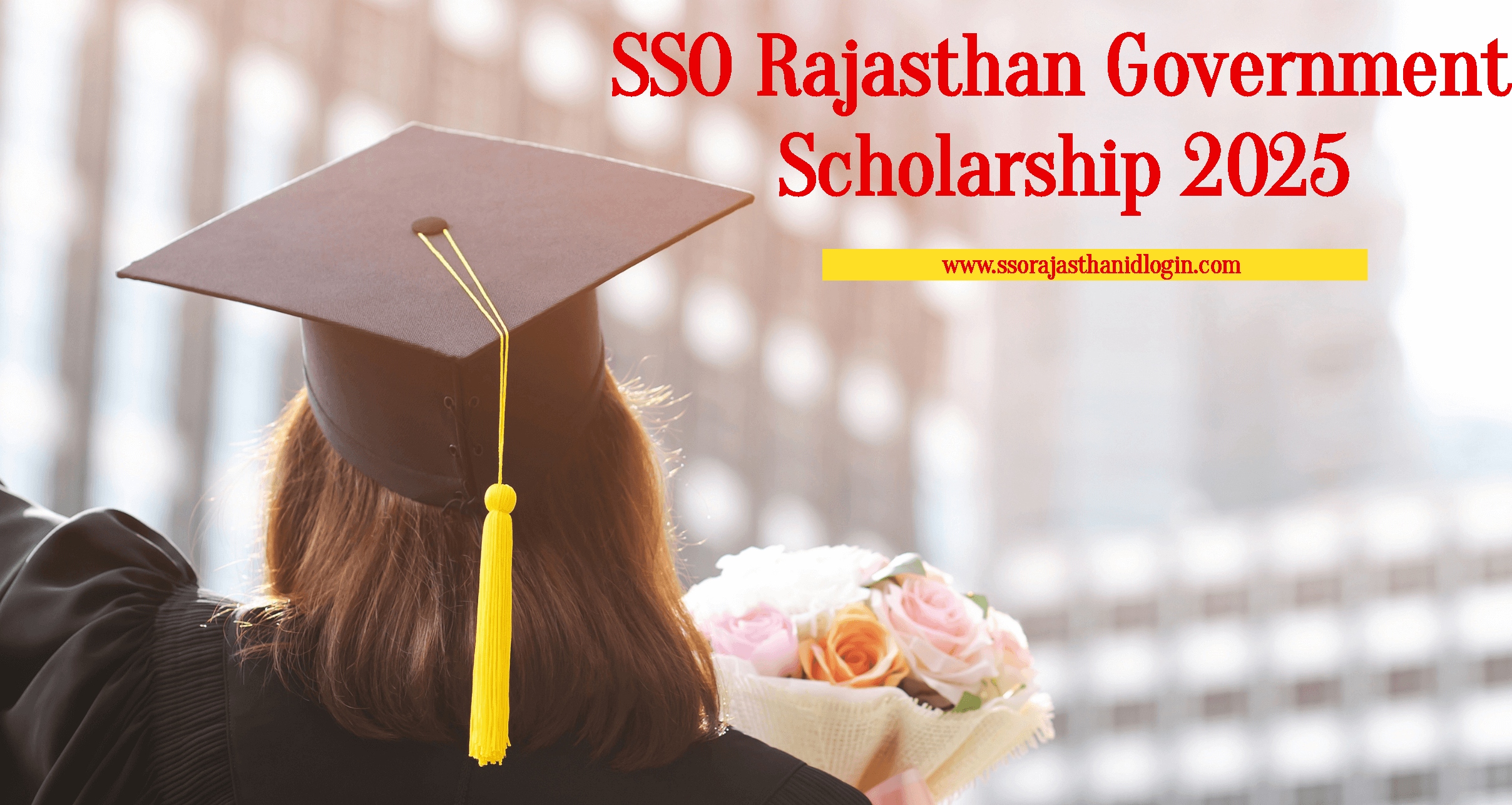 Sso Rajasthan Government Scholarship Work Details