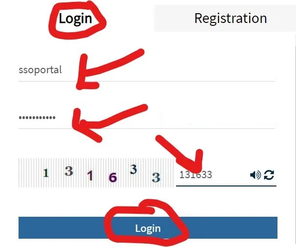 Sso Rajasthan Single Sign On Login