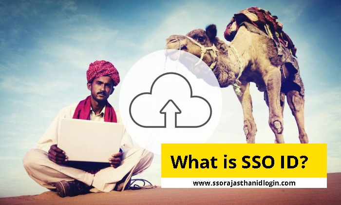 What is SSO ID Rajasthan Login